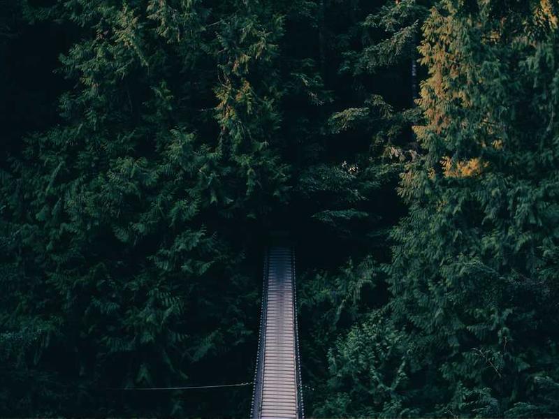 Revolutionize Your Brand with AI Insights