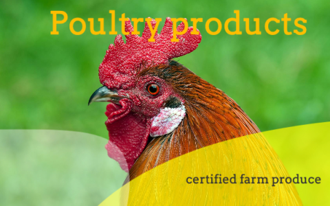 Poultry Delights - Business Card 85x55mm