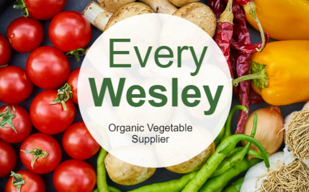 Wesley — More template