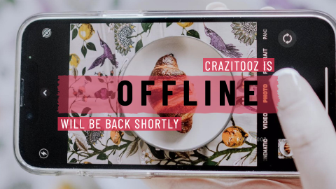 Crazy Gamer twitch offline banner design template