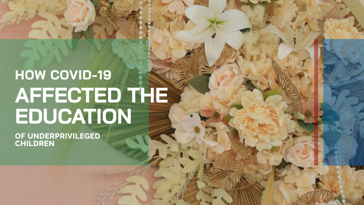 Affected the Education — Design template