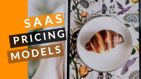 SaaS Pricing Models design template