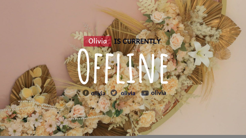 Girlish Twitch Offline Banner design template
