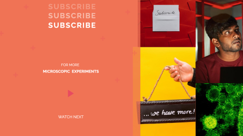 Science Experiments design template