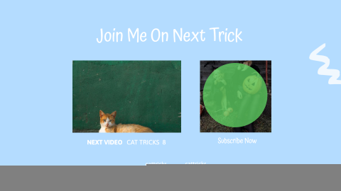 Cat Tricks design template
