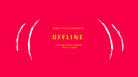 Spirit fly twitch offline banner design template