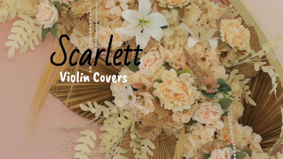 Scarlett — Design template