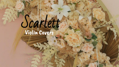 Violin Covers design template