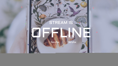 Fiery Twitch Offline Banner design template