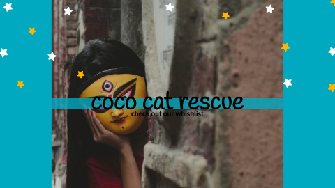 coco cat rescue design template