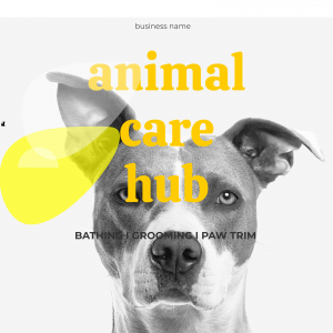 Pet Pamper Palace - Poster