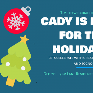 hd celebrate holidays